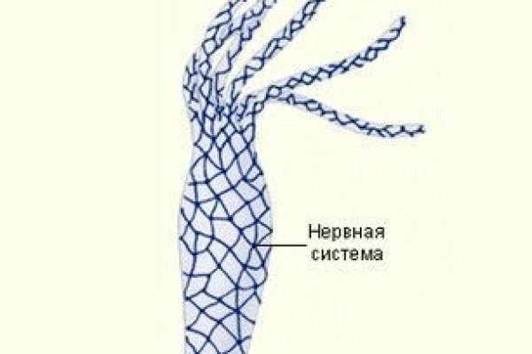 Kraken это современный маркетплейс