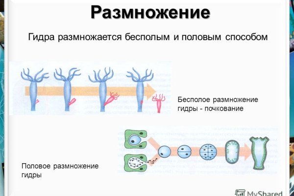 Кракен даркнет рекламы