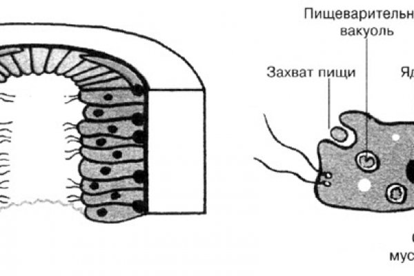 Кракен сбой